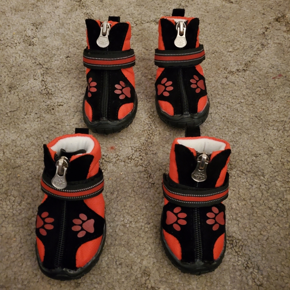 Adorable Little Dog Shoes